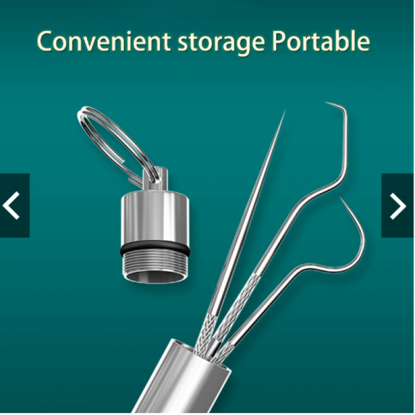 3pcs Reusable Portable Metal Toothpicks
